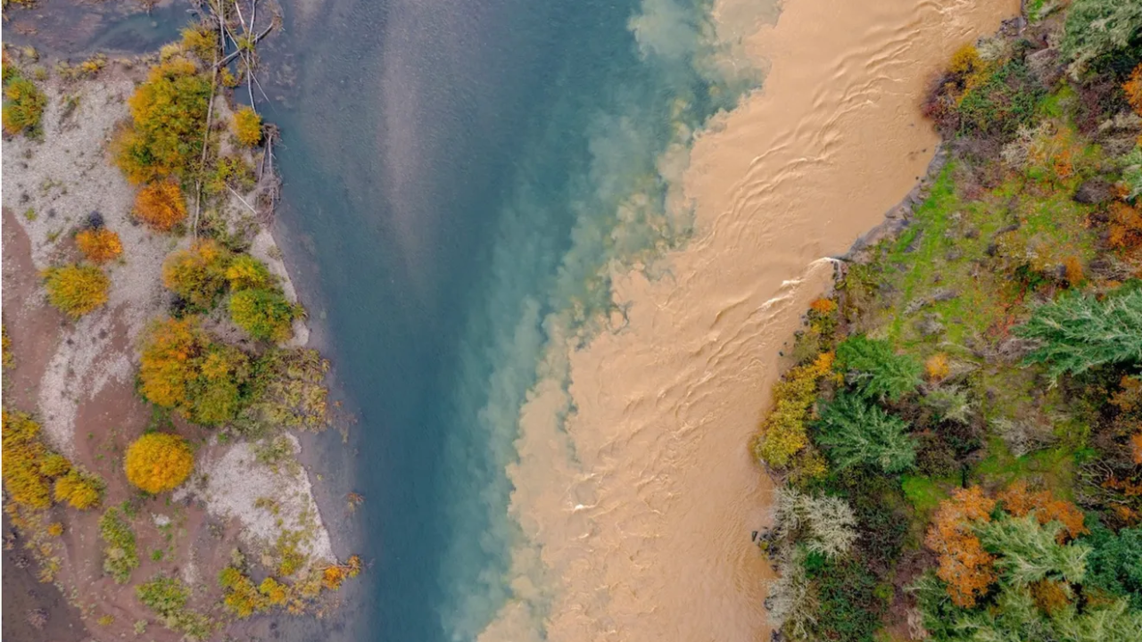 Environmental lawsuit muddies Oregon waters kills thousands off fish.